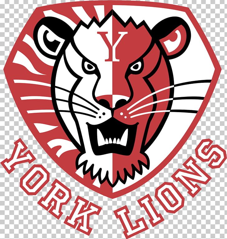 York University York Lions Women's Ice Hockey University Of Windsor PNG, Clipart,  Free PNG Download