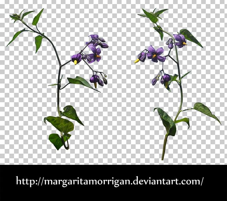 Flower Plant Tree PNG, Clipart, Branch, Bud, Deviantart, Digital Art, Flora Free PNG Download