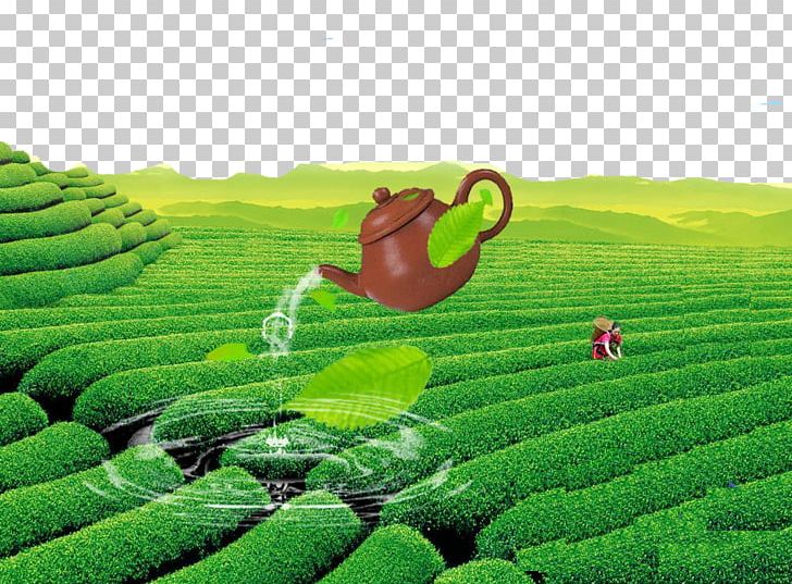 Green Tea Yum Cha Chinese Tea Kettle PNG, Clipart, Agriculture, Beauty, Beauty Salon, Chinas Famous Teas, Crop Free PNG Download