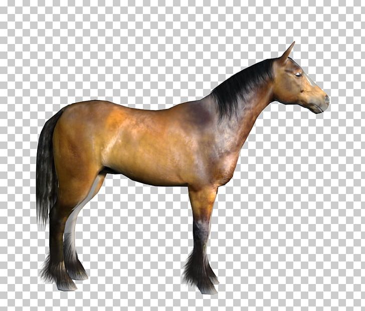 Mustang American Paint Horse Stallion Mare Pony PNG, Clipart, 3d Computer Graphics, American Paint Horse, Bay, Cg Artwork, Colt Free PNG Download