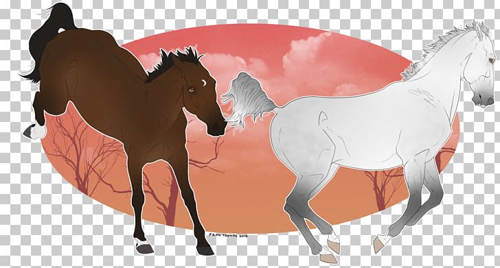 Mustang Foal Pony Stallion Mare PNG, Clipart, Bridle, Colt, Foal, Halter, Horse Free PNG Download