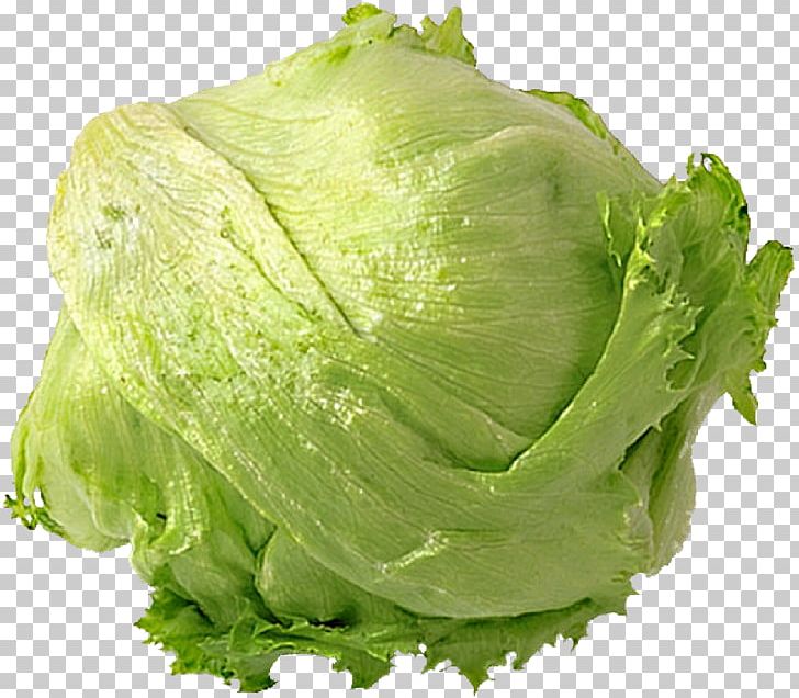 Romaine Lettuce Mesclun Leaf Vegetable Iceberg Lettuce Cruciferous Vegetables PNG, Clipart, Cabbage, Capitata Group, Collard Greens, Corn Salad, Cruciferous Vegetables Free PNG Download