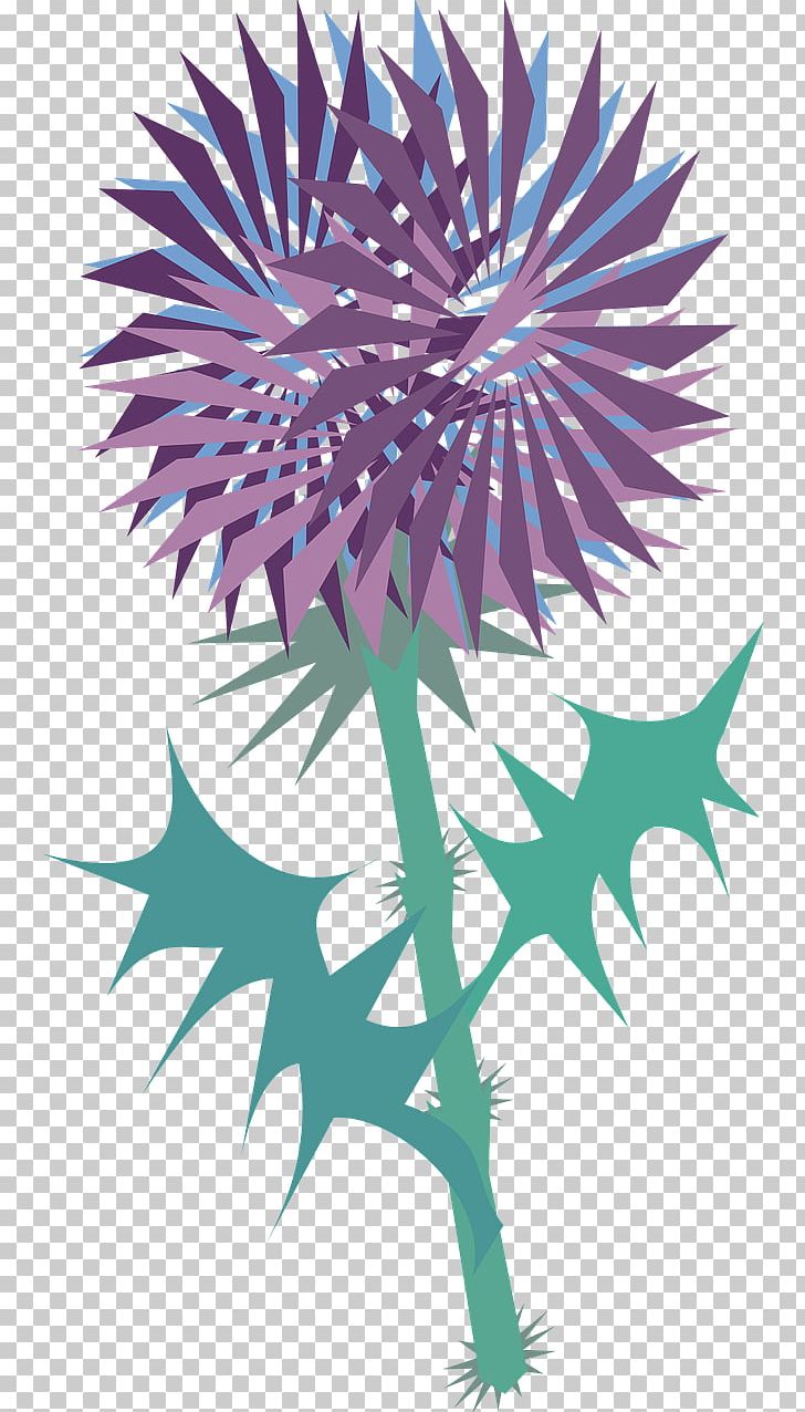 Thistle Cirsium Vulgare PNG, Clipart, Cirsium Vulgare, Computer Icons, Description, Flora, Flower Free PNG Download
