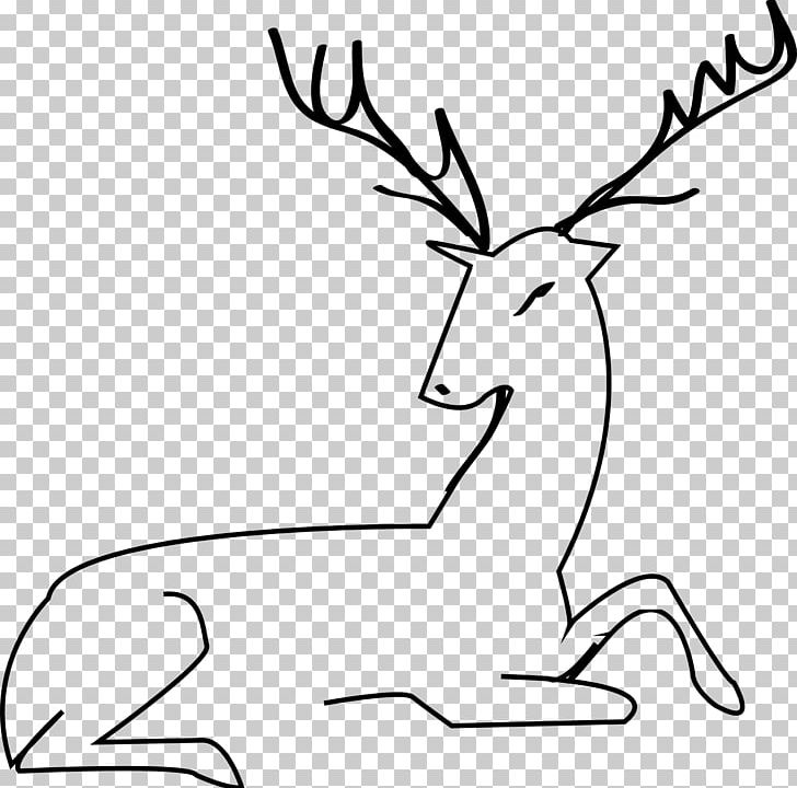 White-tailed Deer Reindeer Red Deer Moose PNG, Clipart, Animal, Animals, Antler, Black And White, Coloring Pages Free PNG Download