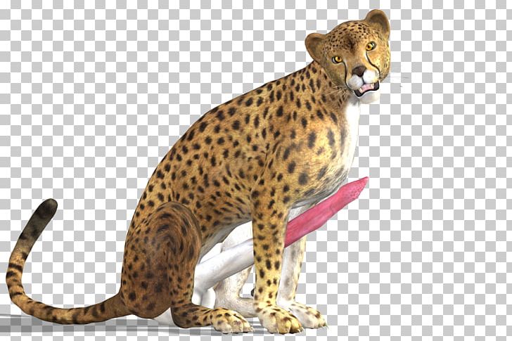 Cheetah Leopard Jaguar Computer Icons PNG, Clipart, Animals, Artist, Big Cats, Carnivoran, Cat Like Mammal Free PNG Download