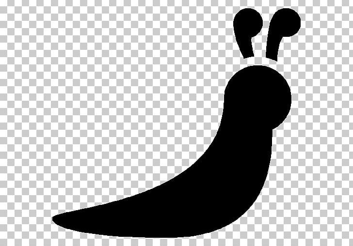 Computer Icons Slug Snail PNG, Clipart, Animal, Artwork, Black, Black And White, Computer Icons Free PNG Download
