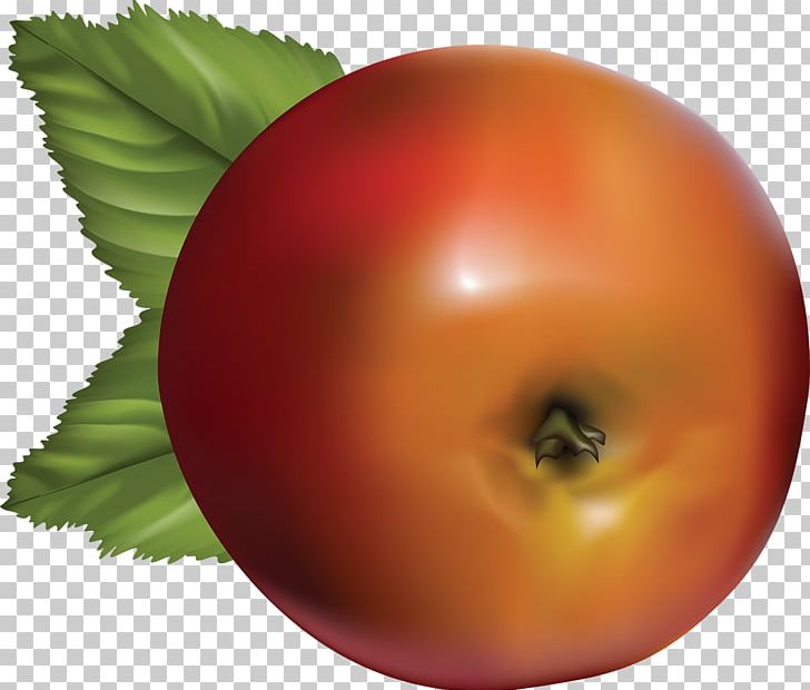 Tomato Apple Fruit Food Graphics PNG, Clipart, Apple, Apples, Berries, Bush Tomato, Diet Food Free PNG Download