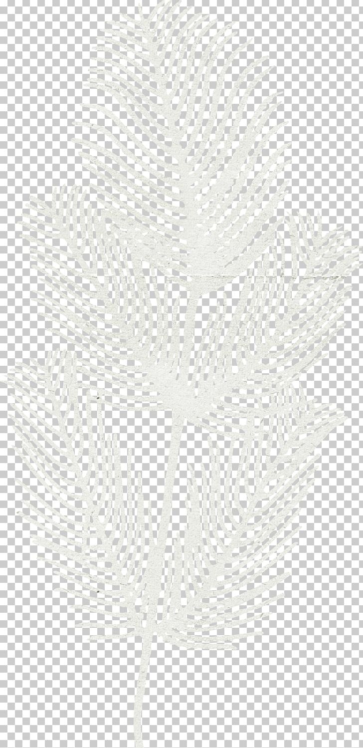White Black Pattern PNG, Clipart, Angle, Animals, Area, Black, Black And White Free PNG Download