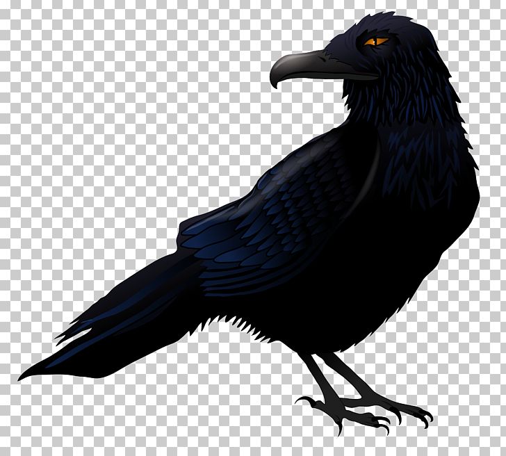 Common Raven Bird PNG, Clipart, American Crow, Beak, Bird, Clip Art, Common Raven Free PNG Download