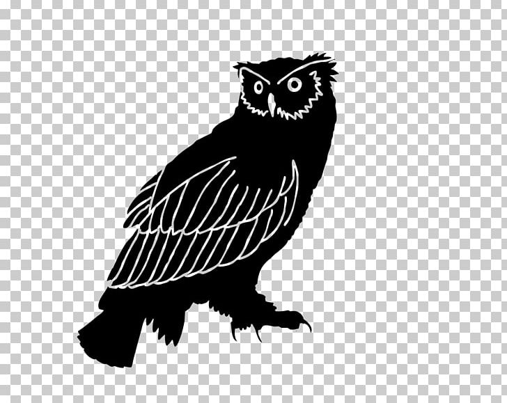 Owl Silhouette Bird Black And White PNG, Clipart, Animals, Beak, Bird, Bird Of Prey, Black Free PNG Download