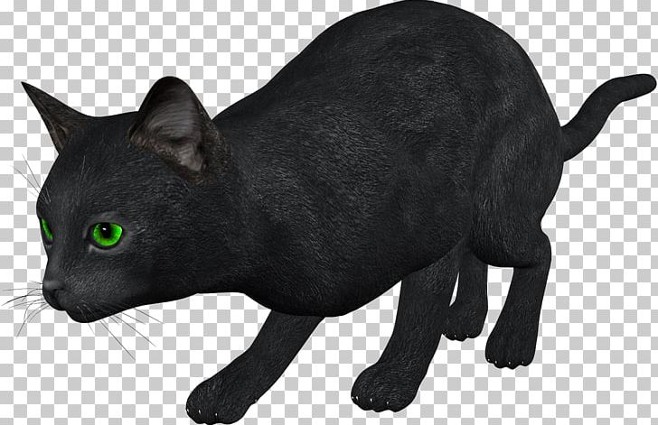 Black Cat Kitten PNG, Clipart, Animals, Bombay, Carnivoran, Cat, Cat Like Mammal Free PNG Download