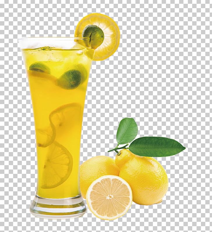 Juice Lemon Balm Extract Fruit PNG, Clipart, Citric Acid, Citrus, Citrus Medica Var Dulcis, Cock, Cocktail Free PNG Download