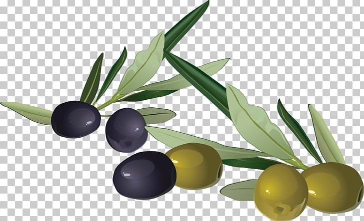 Olive Stock Photography PNG, Clipart, Computer Icons, Food, Food Drinks, Fruit, Ingredient Free PNG Download