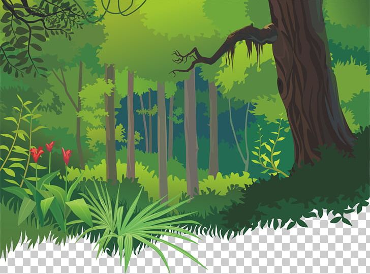 Cartoon Tropical Forests PNG, Clipart, Biome, Branch, Cartoon Arms, Cartoon Character, Cartoon Eyes Free PNG Download