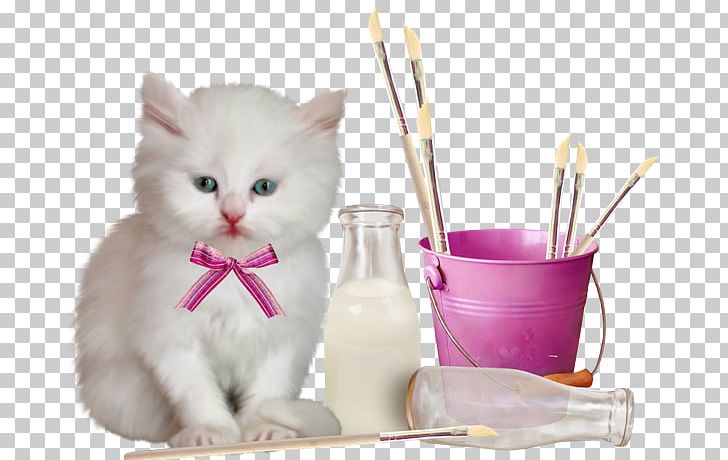 Cat PNG, Clipart, Animals, Autocad Dxf, Bottle, Carnivoran, Cat Free PNG Download