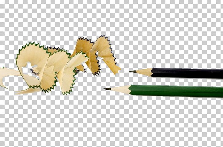 Colored Pencil Advertising Creativity Photography PNG, Clipart, Advertising, Black, Black And Green, Cartoon Pencil, Colored Pencil Free PNG Download