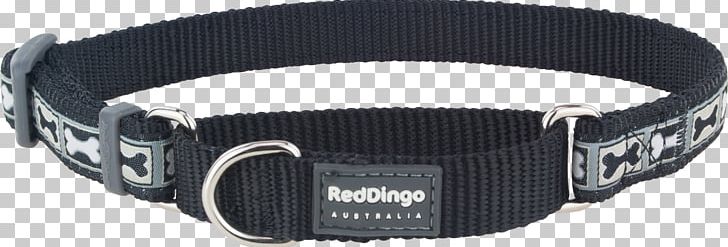 Dog Collar Dingo Martingale PNG, Clipart, Cat, Chaine, Collar, Dingo, Dog Free PNG Download
