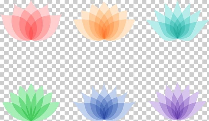 Flower Photography Icon PNG, Clipart, Aquatic Plant, Color, Color Pencil, Color Powder, Colors Free PNG Download