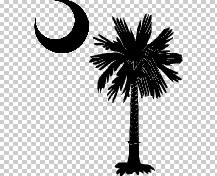 Sabal Palm Flag Of South Carolina Arecaceae Decal PNG, Clipart, Arecaceae, Arecales, Black And White, Borassus Flabellifer, Branch Free PNG Download