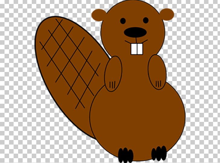Beaver PNG, Clipart, Animal, Animals, Bear, Carnivoran, Cartoon Free PNG Download