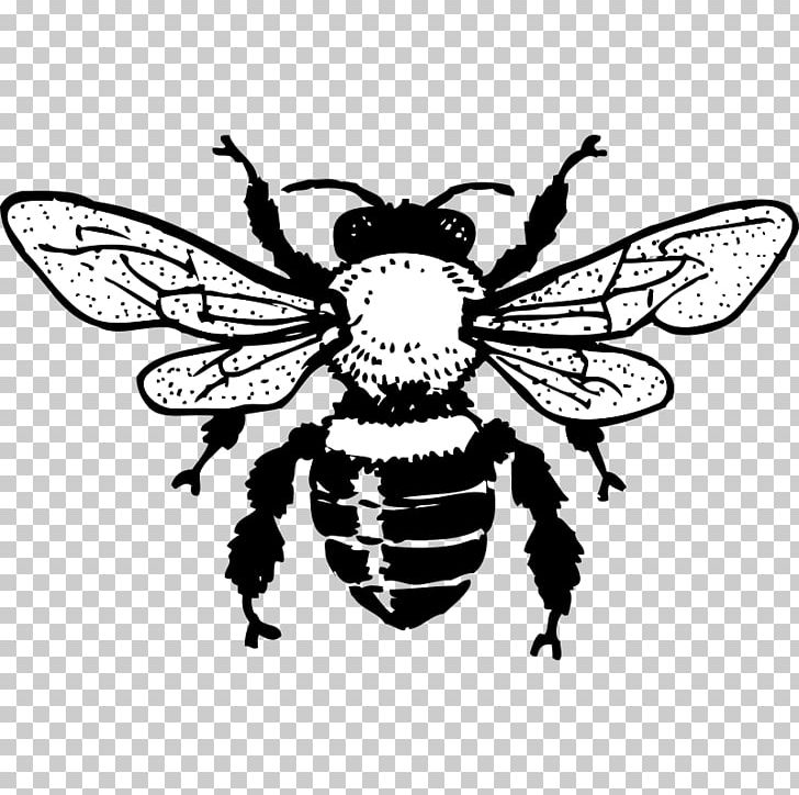 Honey Bee Queen Bee Black And White PNG, Clipart, Art, Arthropod, Bee, Beehive, Blog Free PNG Download