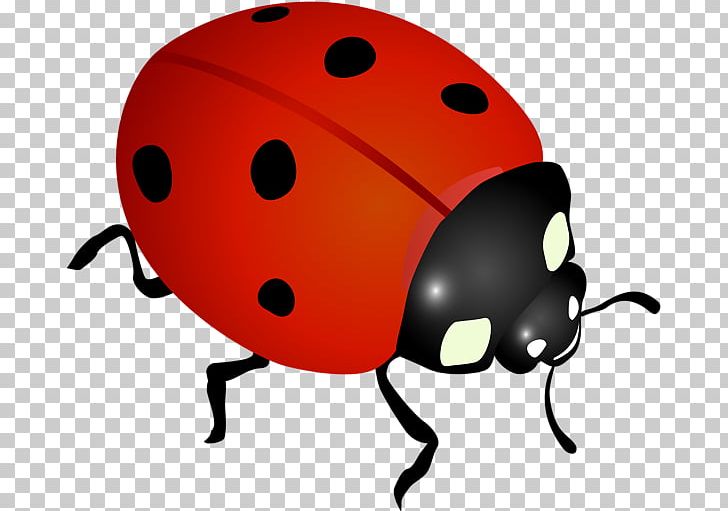 Ladybird PNG, Clipart, Animal, Arthropod, Beetle, Cartoon, Desktop Wallpaper Free PNG Download