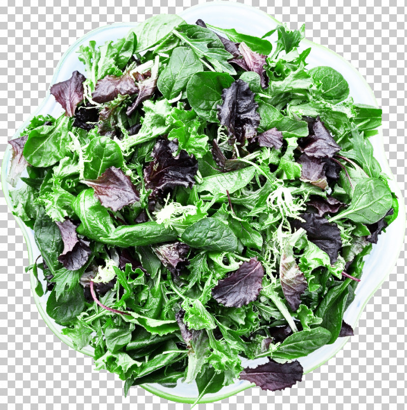 Salad PNG, Clipart, Collard, Cuisine, Dish, Leaf Vegetable, Lettuce Free PNG Download