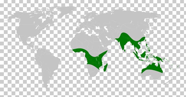 Biogeographic Realm Indomalayan Realm [March 5-9 PNG, Clipart, Australasian Realm, Biogeographic Realm, Biogeography, China, Country Free PNG Download