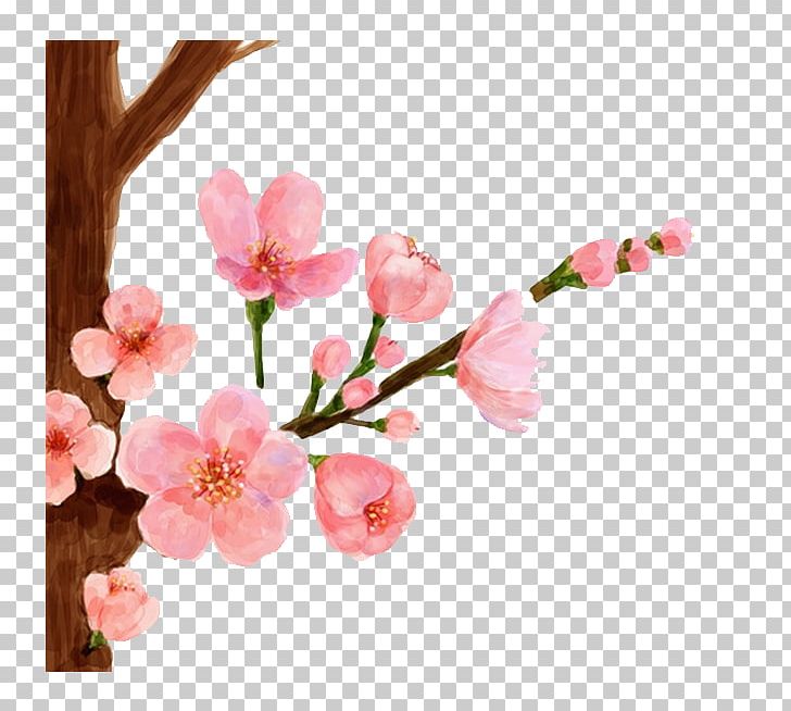 Cherry Blossom Watercolor Painting Spring Peach Blossom PNG, Clipart, Background, Blossom, Branch, Cut Flowers, Draw Free PNG Download