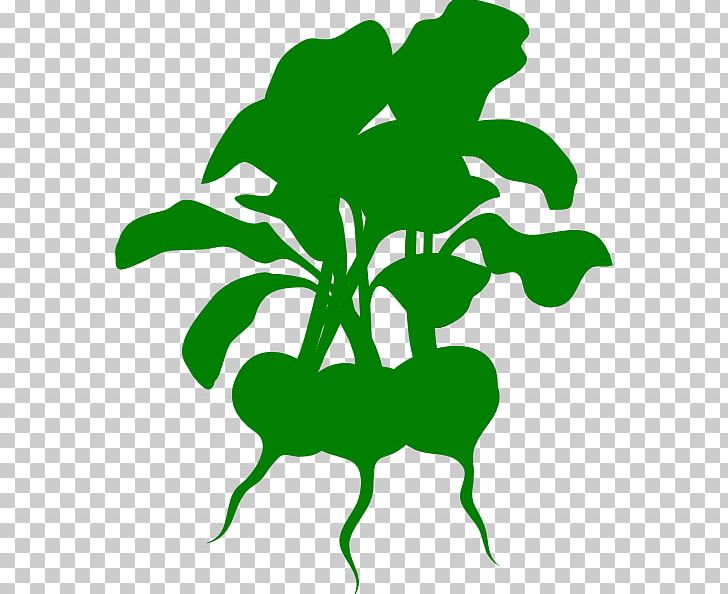 Lettuce Wrap Stencil Beetroot PNG, Clipart, Area, Art, Artwork, Beet, Beetroot Free PNG Download