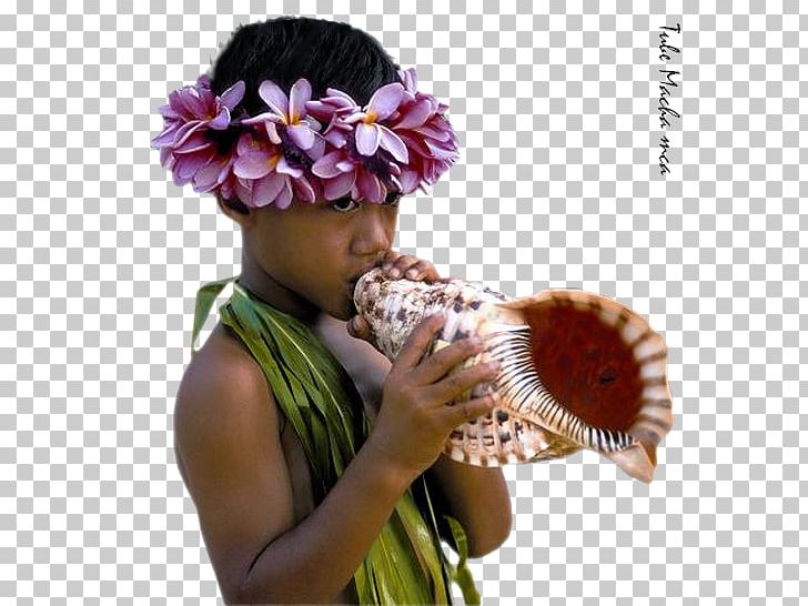 Bora Bora Tahiti Mo'orea Huahine Raiatea PNG, Clipart, Beach, Bora Bora, Crociera, Cut Flowers, Floral Design Free PNG Download