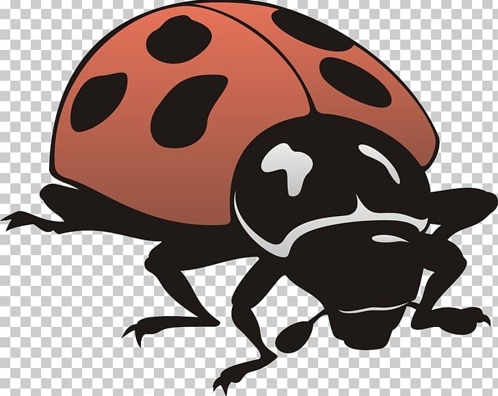 Insect General Entomology Ladybird PNG, Clipart, Animals, Beetle, Birds And Insects, Download, Flying Insects Free PNG Download
