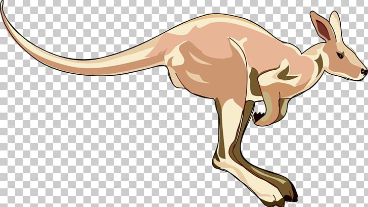 Kangaroo PNG, Clipart, Animal Figure, Animals, Cattle Like Mammal, Computer Icons, Document Free PNG Download