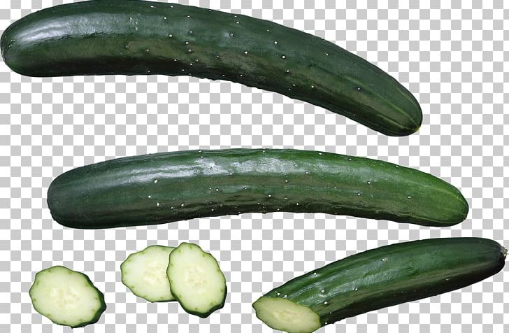 Pickled Cucumber Vegetable Seed Food PNG, Clipart, Celery, Cucumber, Cucumber Gourd And Melon Family, Cucumis, Food Free PNG Download