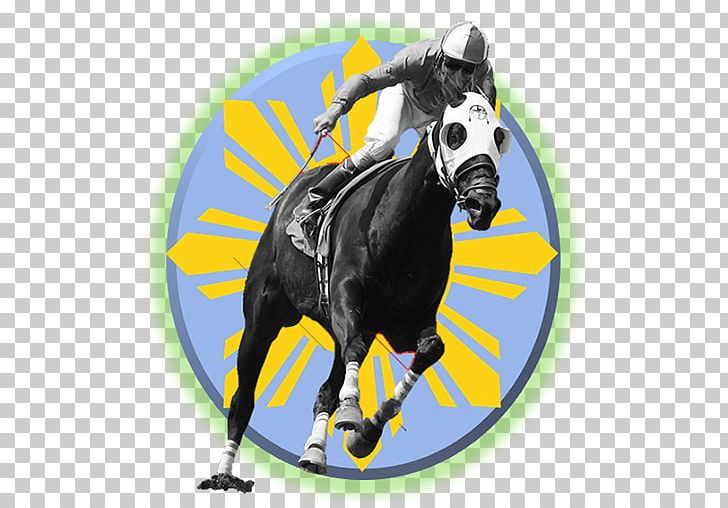 Thoroughbred Horse Racing Melbourne Cup The Kentucky Derby PNG, Clipart, Black Caviar, Equestrian, Equestrian Sport, Gambling, Horse Free PNG Download