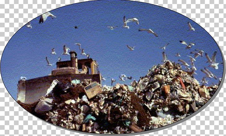 Waste Management Natural Environment Landfill Hazardous Waste PNG, Clipart, Air Pollution, Antiquity, Biodegradable Waste, Biodegradation, Environmentalism Free PNG Download