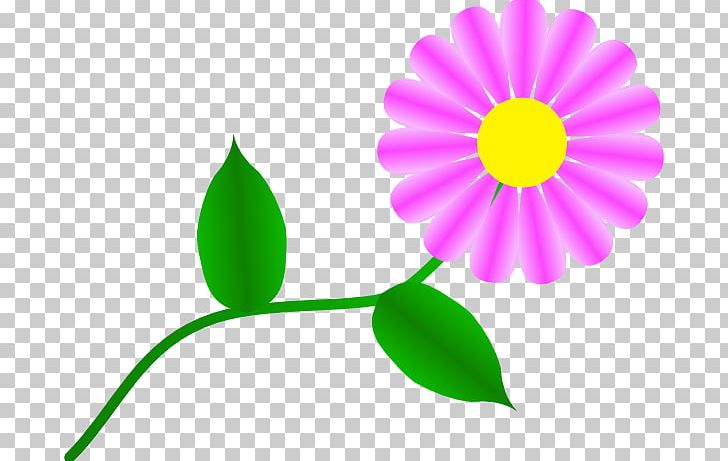 Common Daisy PNG, Clipart, Blog, Clipart, Clip Art, Common Daisy, Daisy Free PNG Download