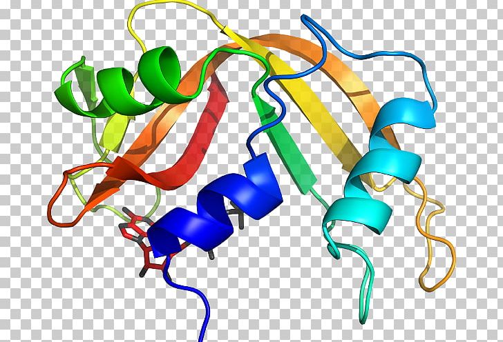 Line PNG, Clipart, Art, Artwork, Line, Ribonuclease Free PNG Download