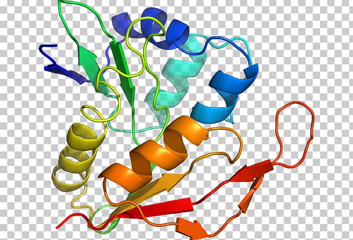 Organism Line PNG, Clipart, Acetyltransferase, Art, Artwork, Food, Line Free PNG Download