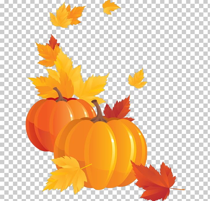 Pumpkin Zucchini Pepo PNG, Clipart,  Free PNG Download