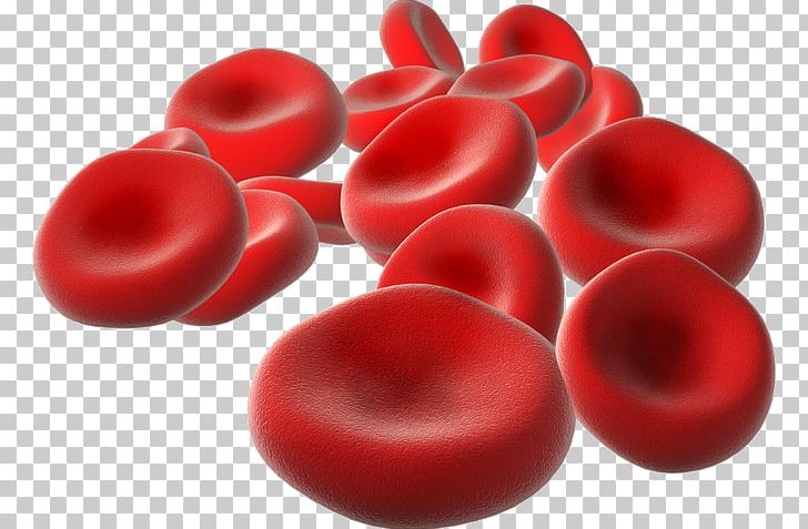 Red Blood Cell Life PNG, Clipart, Artery, Biology, Blood, Blood Cell