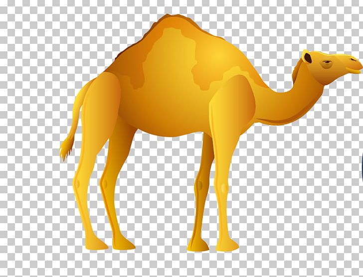 Camel Egypt PNG, Clipart, Ancient Egypt, Animals, Ankh, Arabian Camel, Camel Free PNG Download