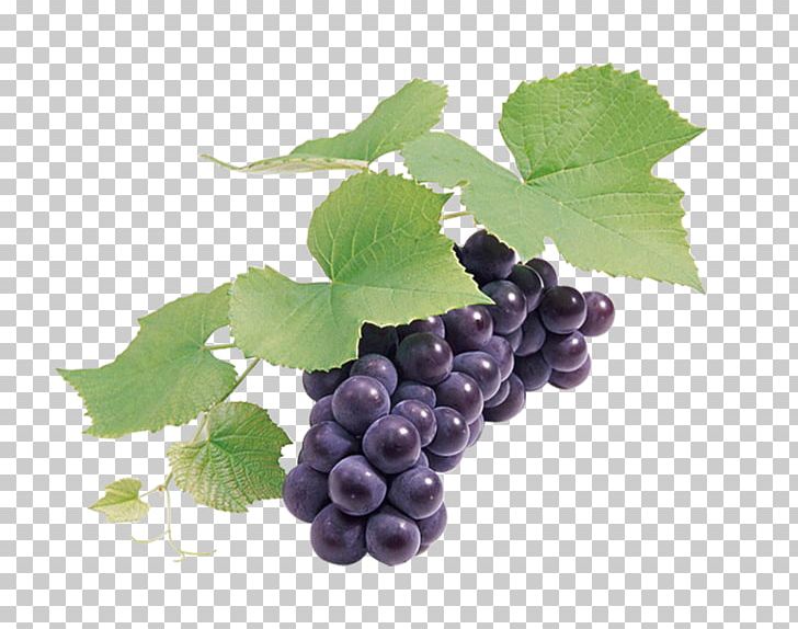 Grape Seed Extract Wine Grapefruit PNG, Clipart, Background Black, Black, Black Background, Black Board, Black Friday Free PNG Download