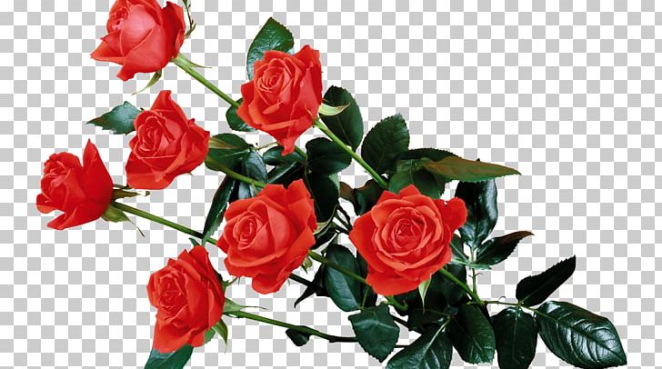 Rose Flower PNG, Clipart, Artificial Flower, Cut Flowers, Drawing, Floral Design, Floristry Free PNG Download