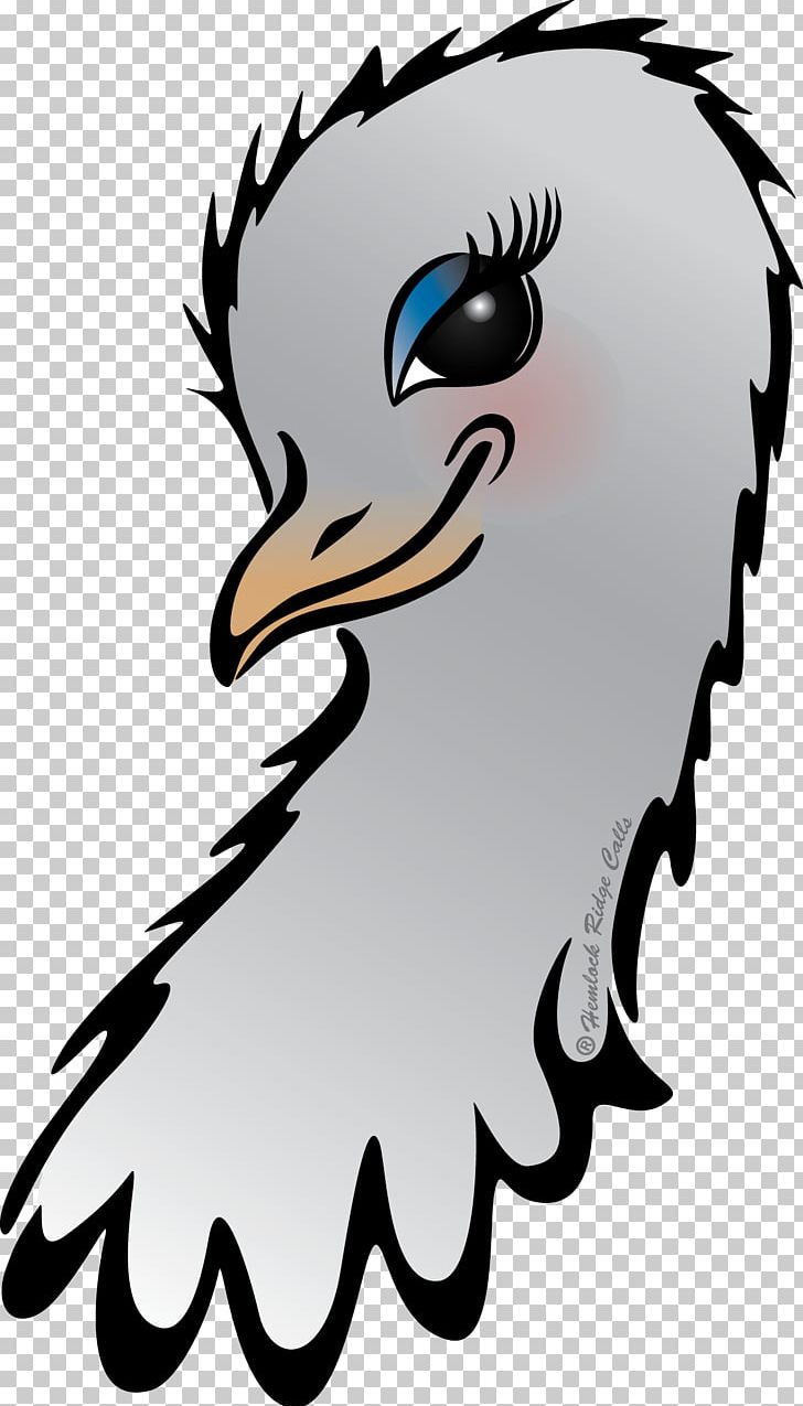 Beak Bird Of Prey PNG, Clipart, All Predator Calls, Animals, Art, Artwork, Beak Free PNG Download