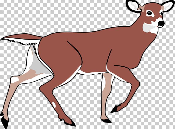 Deer PNG, Clipart, Animation, Antelope, Antler, Cow Goat Family, Deer Free PNG Download