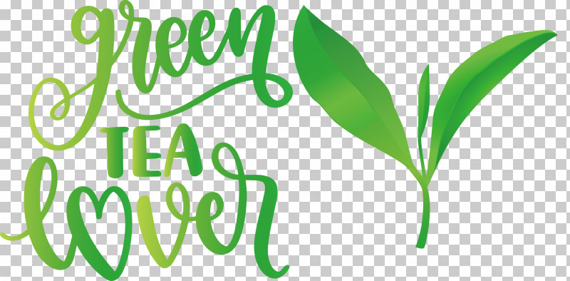Green Tea Lover Tea PNG, Clipart, Coffee, Commodity, Grasses, Leaf, Logo Free PNG Download