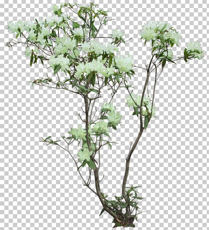 Flowerpot Arecaceae Tree Plant Fibre Cement PNG, Clipart, Arecaceae, Areca Palm, Branch, Fibre Cement, Flora Free PNG Download