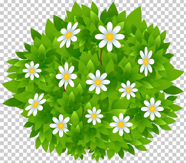 Shrub Graphics Portable Network Graphics PNG, Clipart, Annual Plant, Cartoon, Chrysanths, Diagram, Flower Free PNG Download