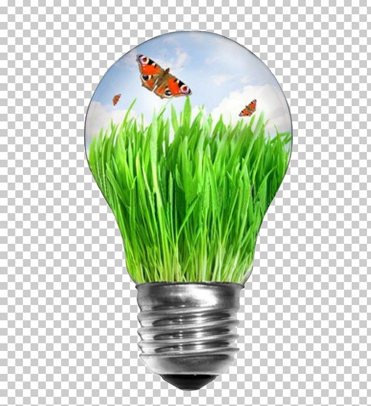 Incandescent Light Bulb Renewable Energy Stock Photography Efficient Energy Use PNG, Clipart, Bulb, Bulb Design, Creative Background, Creative Graphics, Creative Logo Design Free PNG Download